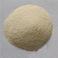 Wheat protein concentrate feed grade 